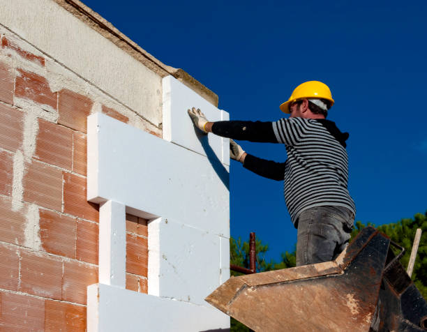 Best Residential Insulation in Allegan, MI