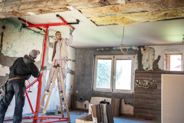 Best Insulation Installation Services in Allegan, MI